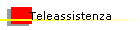 Teleassistenza