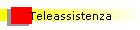 Teleassistenza